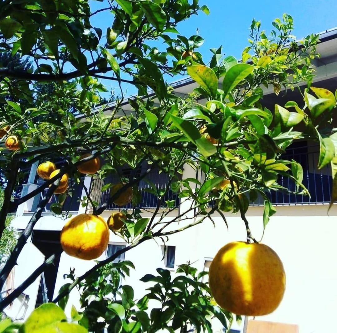 B&B Verdeoliva Modugno Bagian luar foto